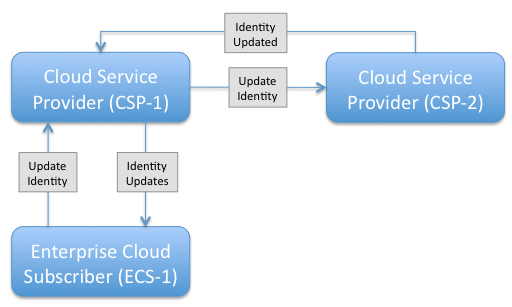 CSP->CSP Update Identity Push